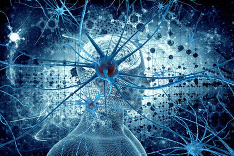 علت منحصر به فرد بودن مغز انسان چیست؟ 